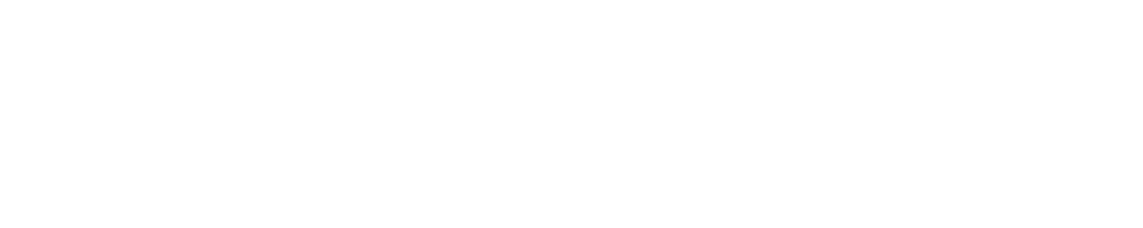 David’s International School